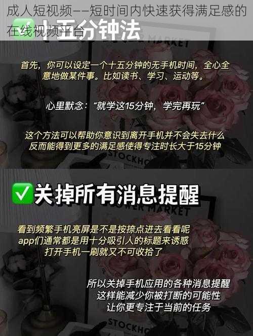 成人短视频——短时间内快速获得满足感的在线视频平台