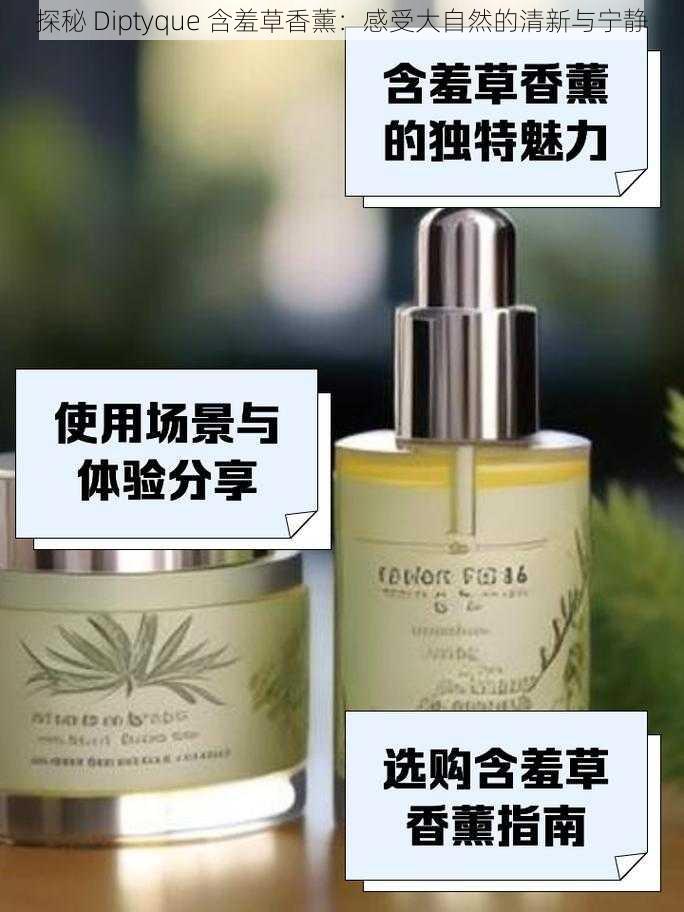 探秘 Diptyque 含羞草香薰：感受大自然的清新与宁静