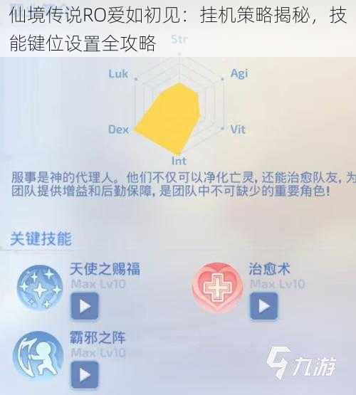 仙境传说RO爱如初见：挂机策略揭秘，技能键位设置全攻略