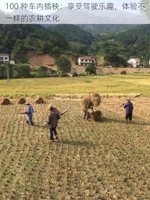 100 种车内插秧：享受驾驶乐趣，体验不一样的农耕文化