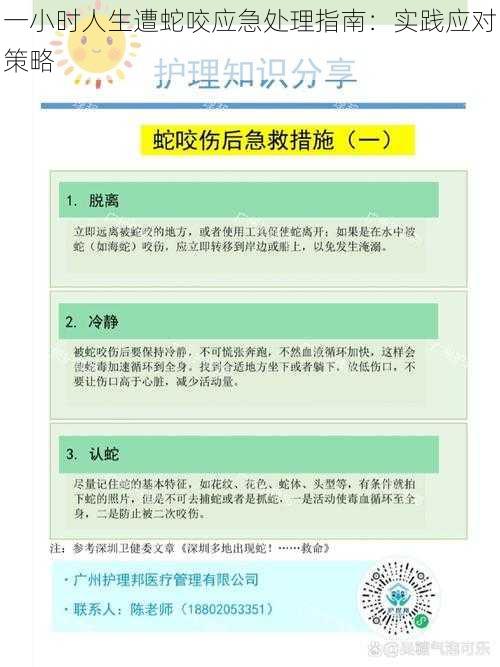 一小时人生遭蛇咬应急处理指南：实践应对策略