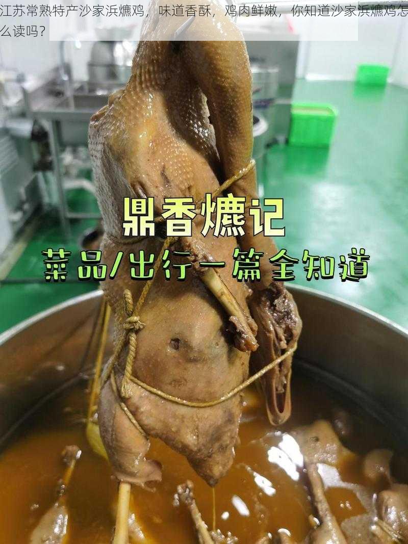 江苏常熟特产沙家浜爊鸡，味道香酥，鸡肉鲜嫩，你知道沙家浜爊鸡怎么读吗？