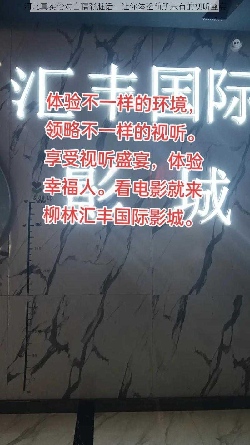 河北真实伦对白精彩脏话：让你体验前所未有的视听盛宴