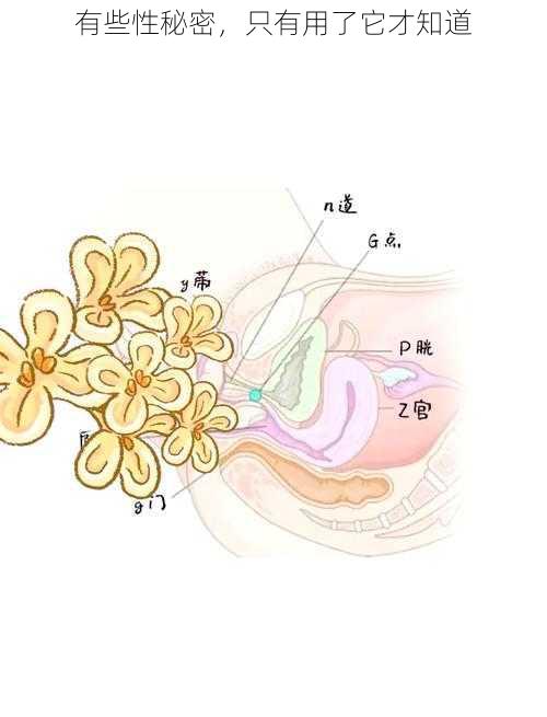 有些性秘密，只有用了它才知道