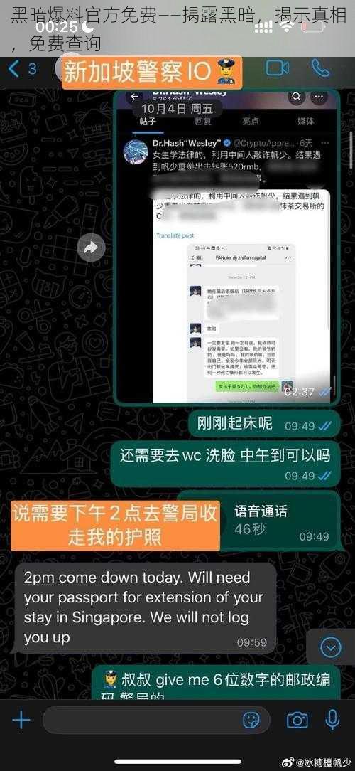 黑暗爆料官方免费——揭露黑暗，揭示真相，免费查询