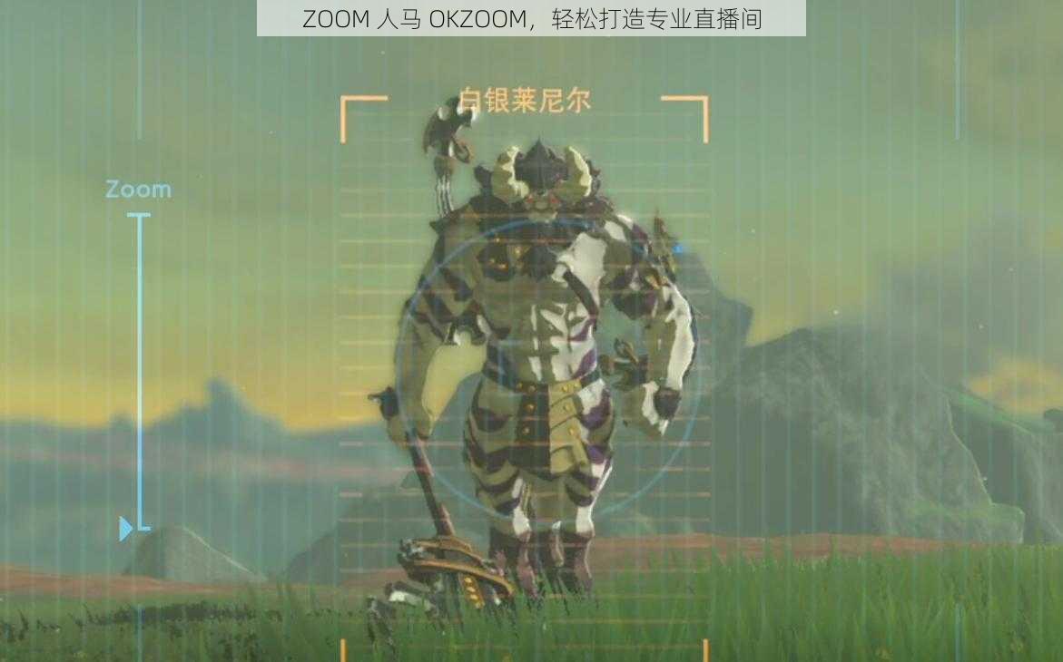 ZOOM 人马 OKZOOM，轻松打造专业直播间