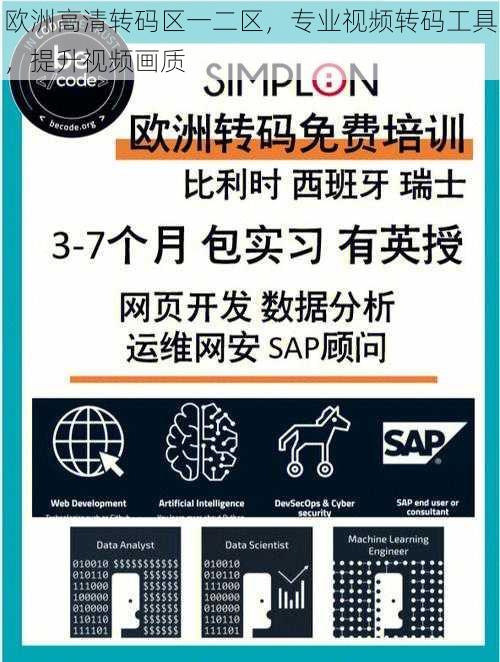 欧洲高清转码区一二区，专业视频转码工具，提升视频画质