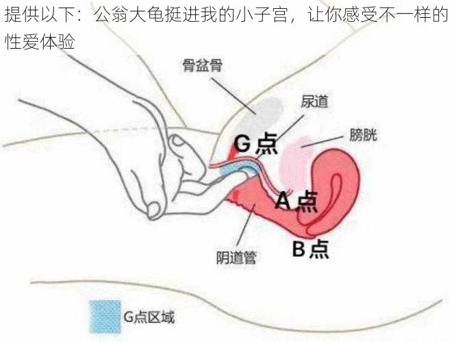 提供以下：公翁大龟挺进我的小子宫，让你感受不一样的性爱体验