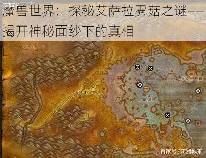 魔兽世界：探秘艾萨拉雾菇之谜——揭开神秘面纱下的真相