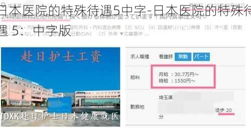 日本医院的特殊待遇5中字-日本医院的特殊待遇 5：中字版