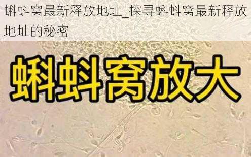 蝌蚪窝最新释放地址_探寻蝌蚪窝最新释放地址的秘密