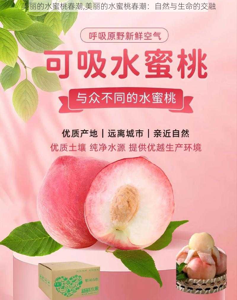 美丽的水蜜桃春潮,美丽的水蜜桃春潮：自然与生命的交融