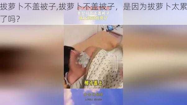 拔萝卜不盖被子,拔萝卜不盖被子，是因为拔萝卜太累了吗？