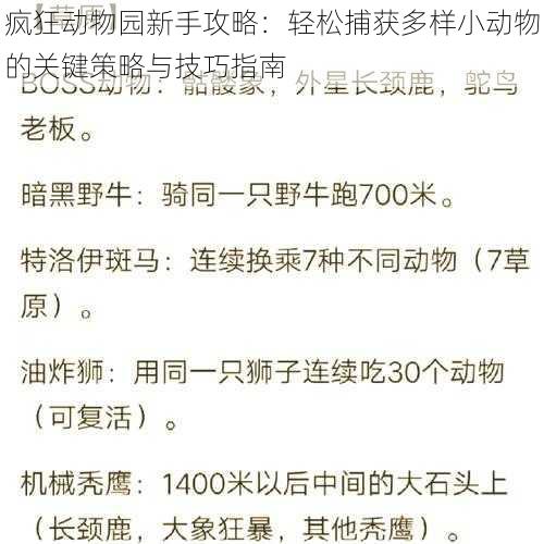 疯狂动物园新手攻略：轻松捕获多样小动物的关键策略与技巧指南