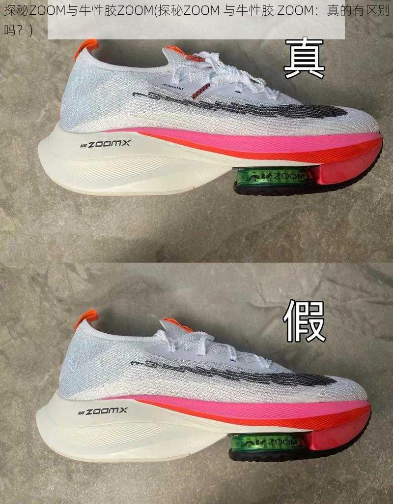 探秘ZOOM与牛性胶ZOOM(探秘ZOOM 与牛性胶 ZOOM：真的有区别吗？)