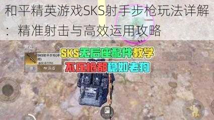 和平精英游戏SKS射手步枪玩法详解：精准射击与高效运用攻略