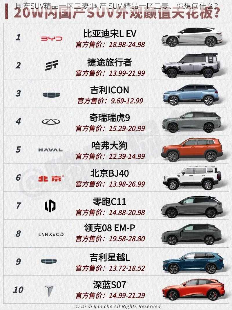 国产SUV精品一区二妻;国产 SUV 精品一区二妻，你想问什么？