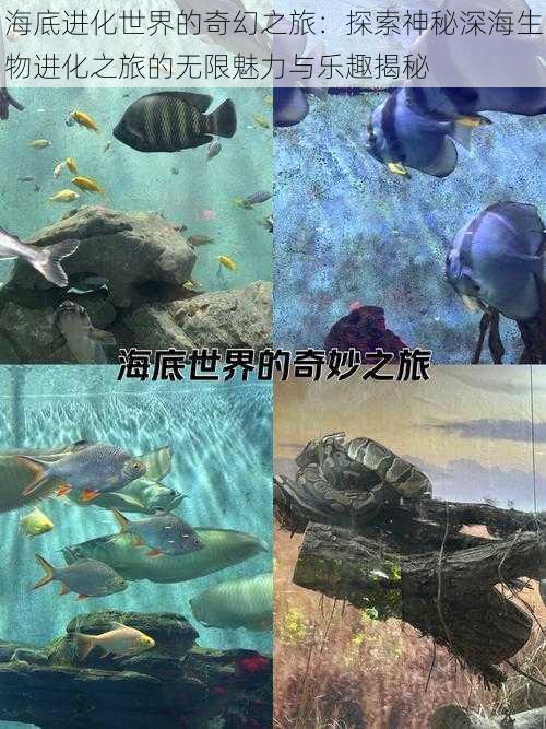 海底进化世界的奇幻之旅：探索神秘深海生物进化之旅的无限魅力与乐趣揭秘