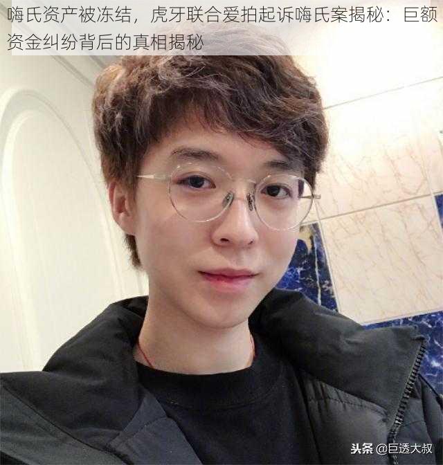 嗨氏资产被冻结，虎牙联合爱拍起诉嗨氏案揭秘：巨额资金纠纷背后的真相揭秘