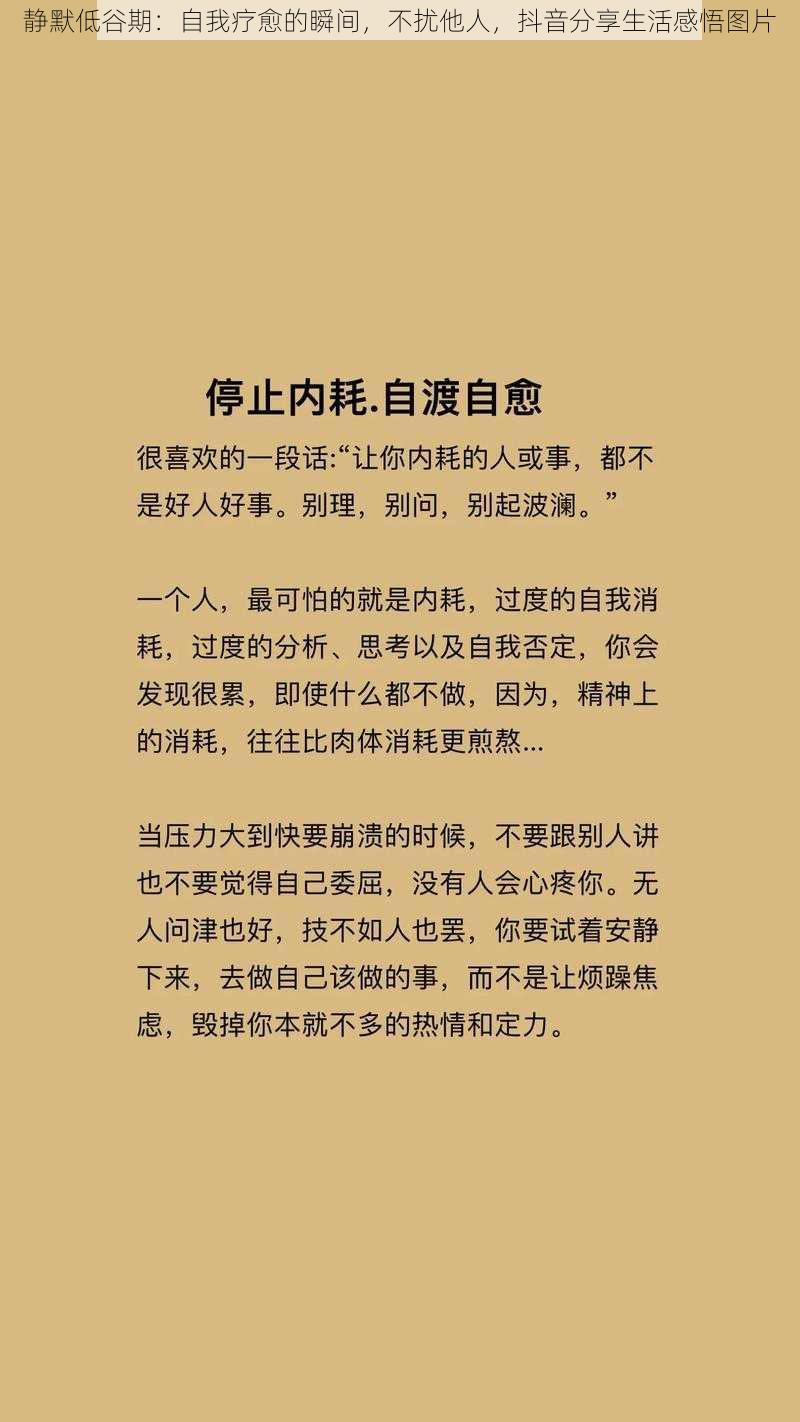 静默低谷期：自我疗愈的瞬间，不扰他人，抖音分享生活感悟图片