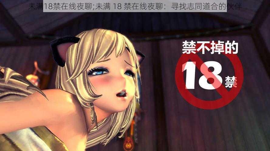 未满18禁在线夜聊;未满 18 禁在线夜聊：寻找志同道合的伙伴