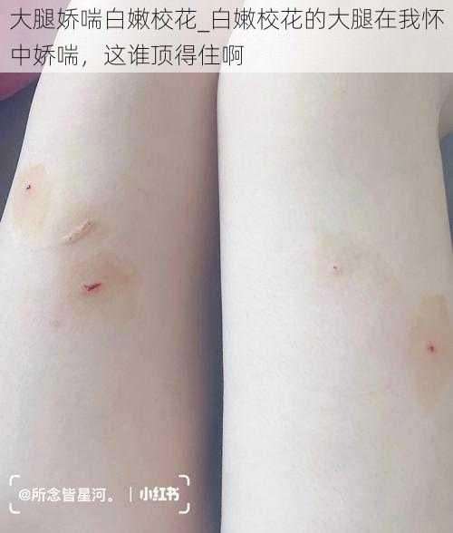 大腿娇喘白嫩校花_白嫩校花的大腿在我怀中娇喘，这谁顶得住啊