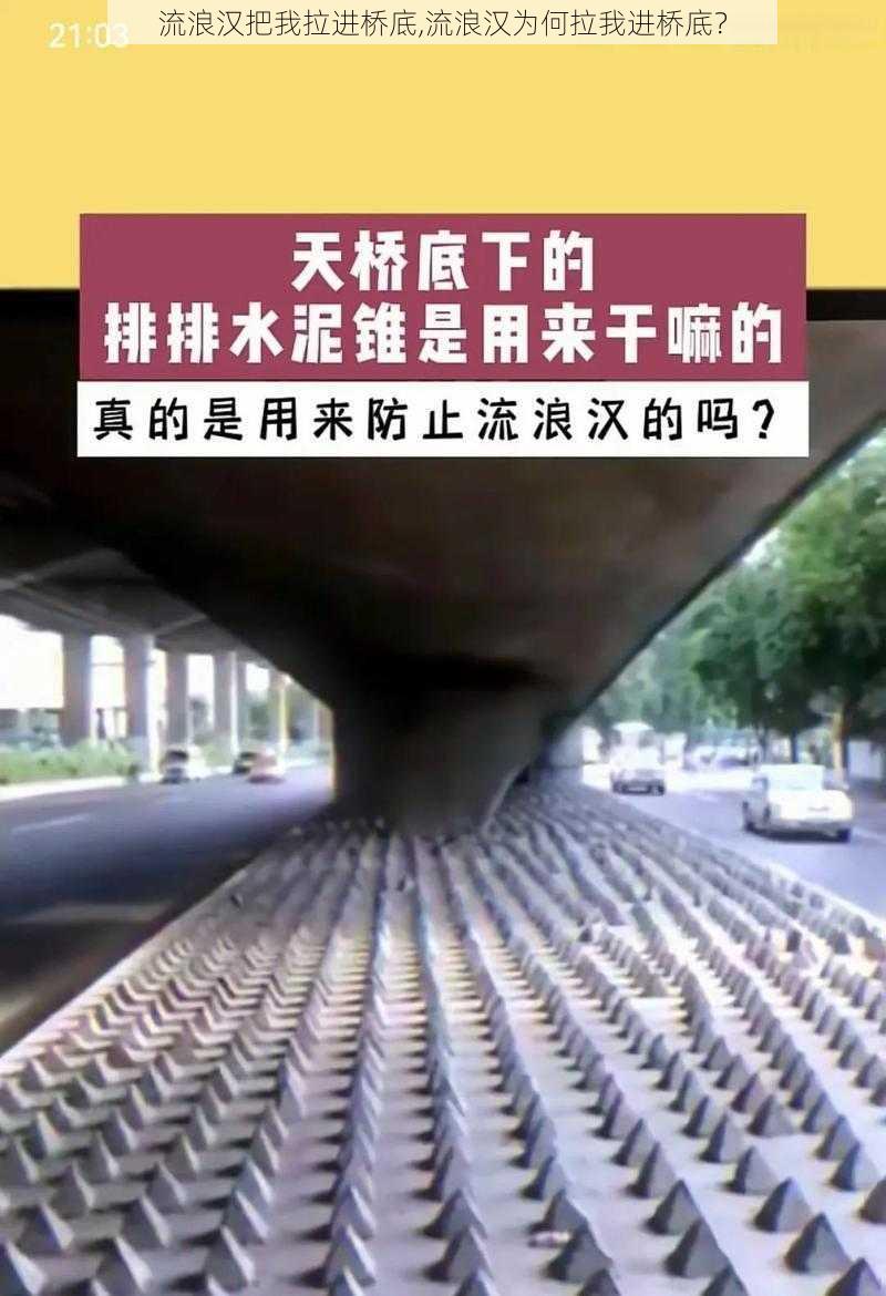 流浪汉把我拉进桥底,流浪汉为何拉我进桥底？