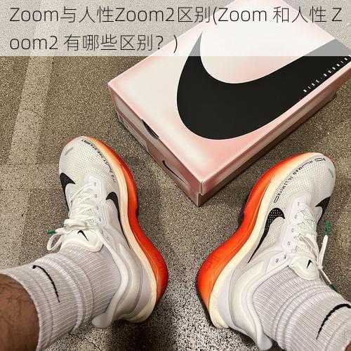 Zoom与人性Zoom2区别(Zoom 和人性 Zoom2 有哪些区别？)