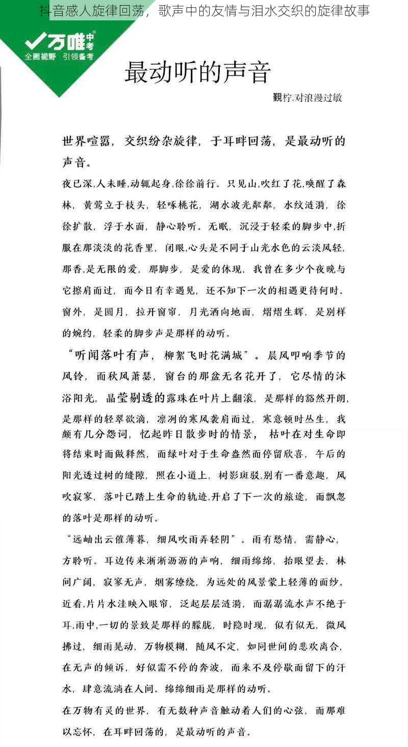 抖音感人旋律回荡，歌声中的友情与泪水交织的旋律故事