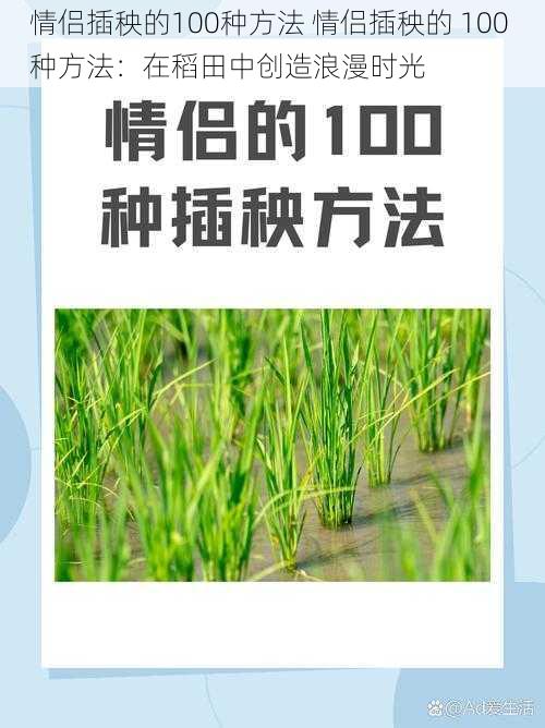 情侣插秧的100种方法 情侣插秧的 100 种方法：在稻田中创造浪漫时光