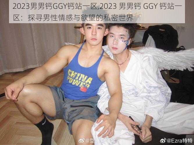 2023男男钙GGY钙站一区,2023 男男钙 GGY 钙站一区：探寻男性情感与欲望的私密世界