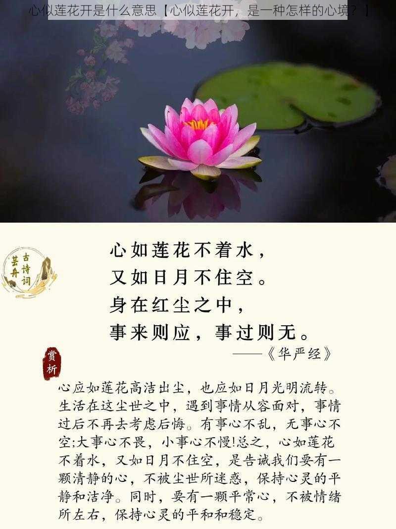 心似莲花开是什么意思【心似莲花开，是一种怎样的心境？】