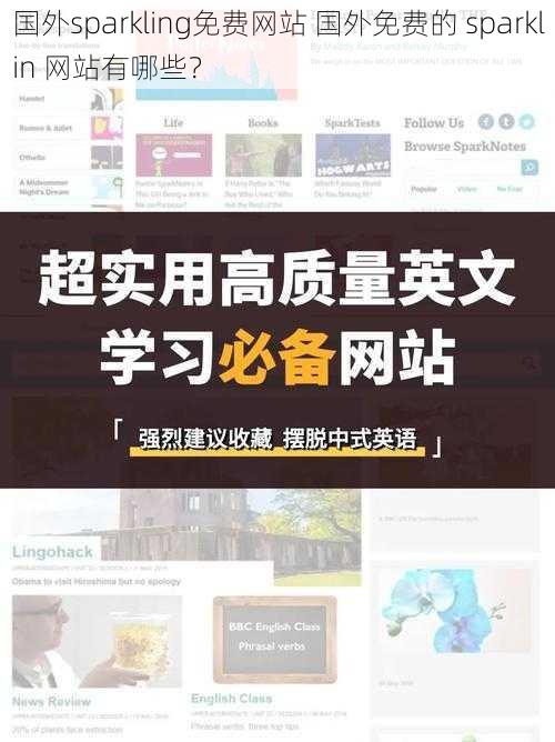 国外sparkling免费网站 国外免费的 sparklin 网站有哪些？