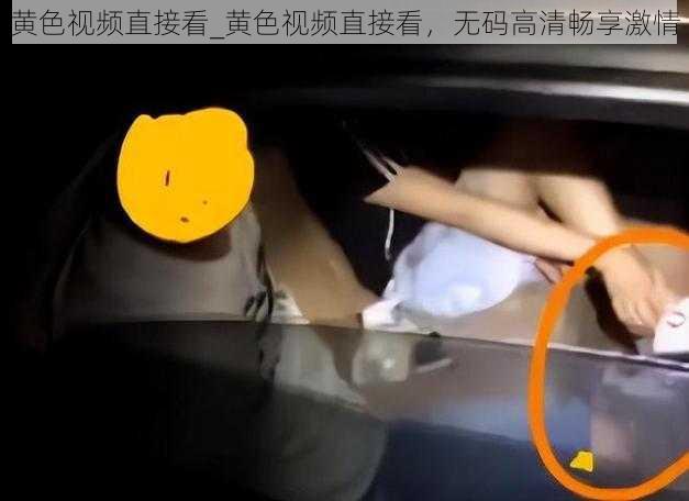 黄色视频直接看_黄色视频直接看，无码高清畅享激情