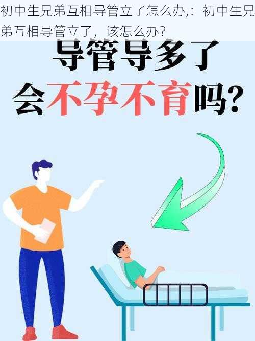 初中生兄弟互相导管立了怎么办,：初中生兄弟互相导管立了，该怎么办？