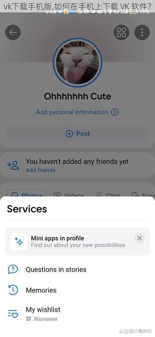 vk下载手机版,如何在手机上下载 VK 软件？