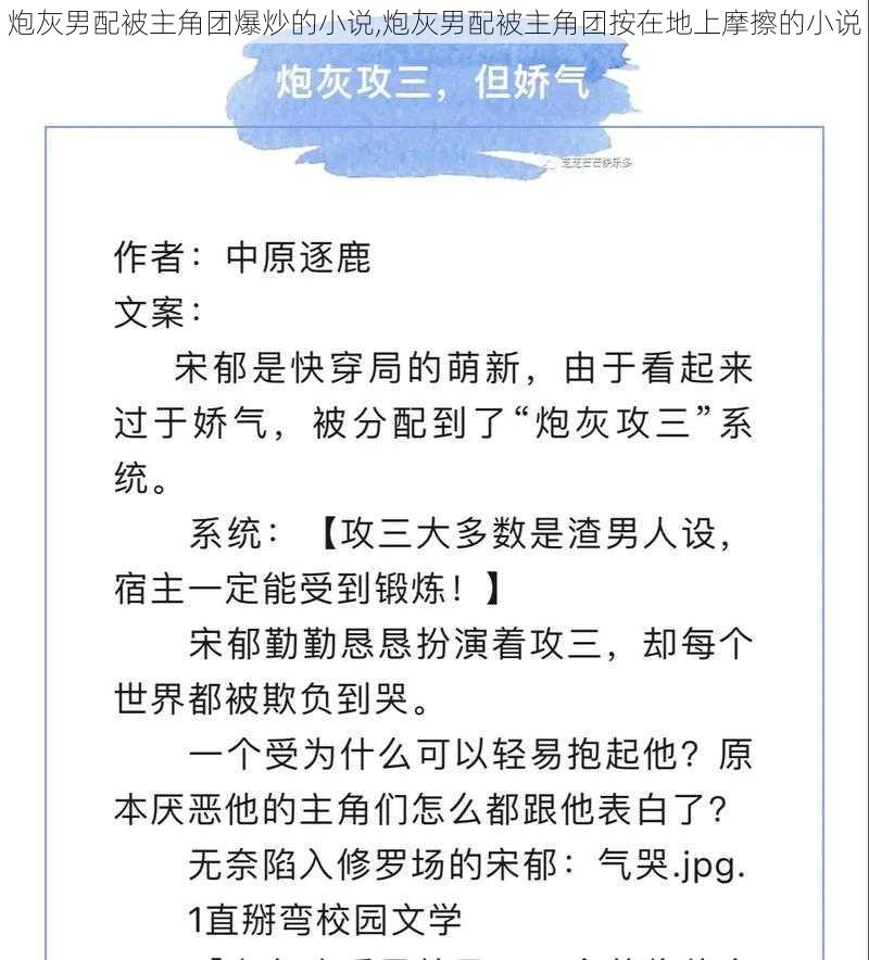 炮灰男配被主角团爆炒的小说,炮灰男配被主角团按在地上摩擦的小说