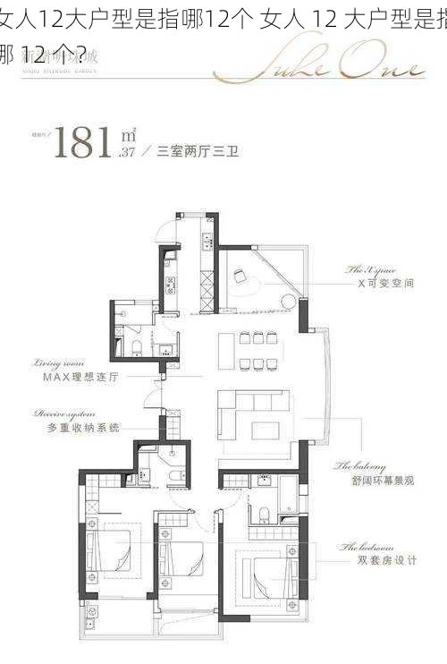 女人12大户型是指哪12个 女人 12 大户型是指哪 12 个？