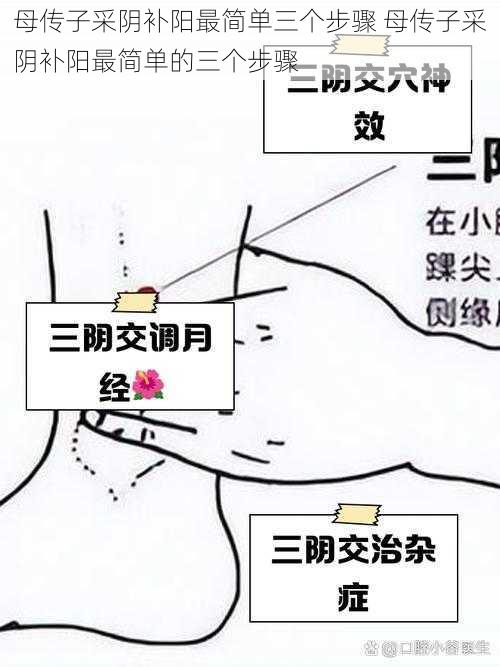 母传子采阴补阳最简单三个步骤 母传子采阴补阳最简单的三个步骤