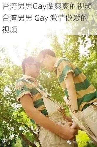 台湾男男Gay做爽爽的视频、台湾男男 Gay 激情做爱的视频