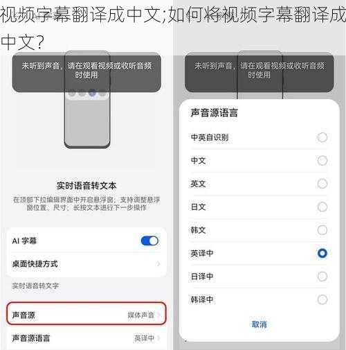视频字幕翻译成中文;如何将视频字幕翻译成中文？