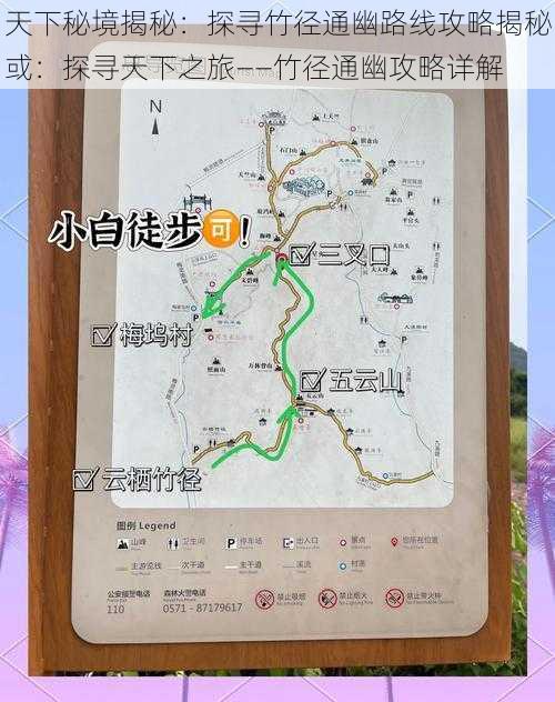 天下秘境揭秘：探寻竹径通幽路线攻略揭秘或：探寻天下之旅——竹径通幽攻略详解