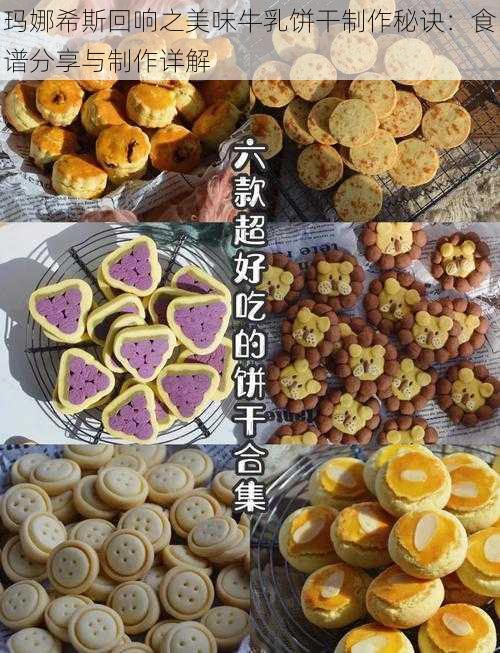 玛娜希斯回响之美味牛乳饼干制作秘诀：食谱分享与制作详解