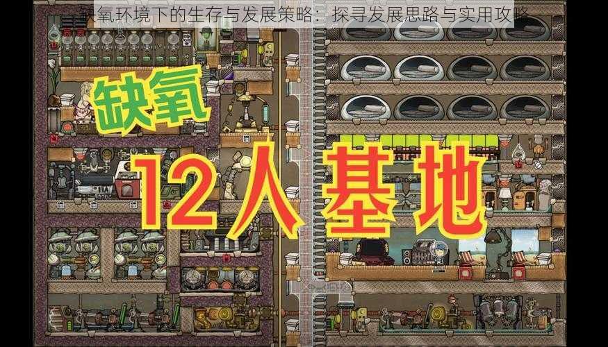 缺氧环境下的生存与发展策略：探寻发展思路与实用攻略