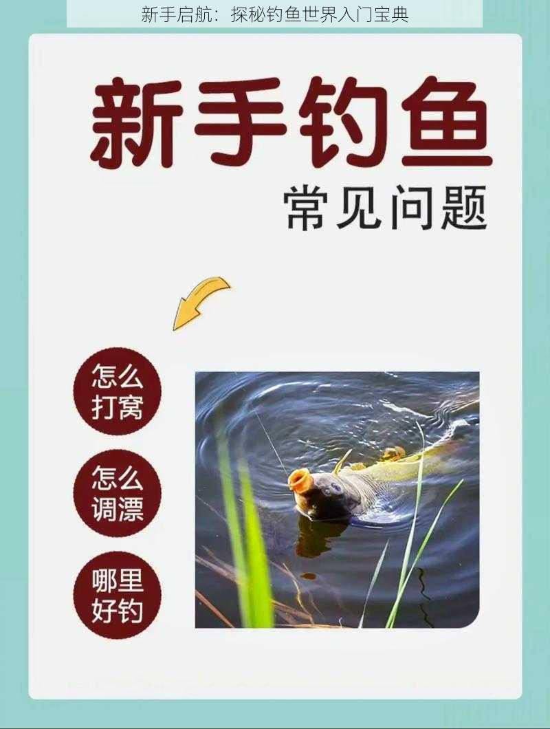 新手启航：探秘钓鱼世界入门宝典