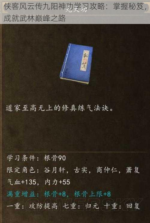 侠客风云传九阳神功学习攻略：掌握秘笈，成就武林巅峰之路