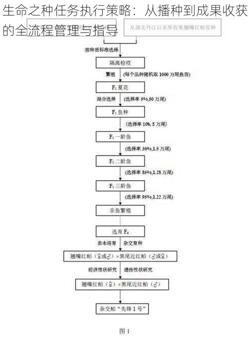 生命之种任务执行策略：从播种到成果收获的全流程管理与指导