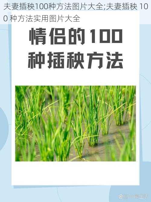 夫妻插秧100种方法图片大全;夫妻插秧 100 种方法实用图片大全