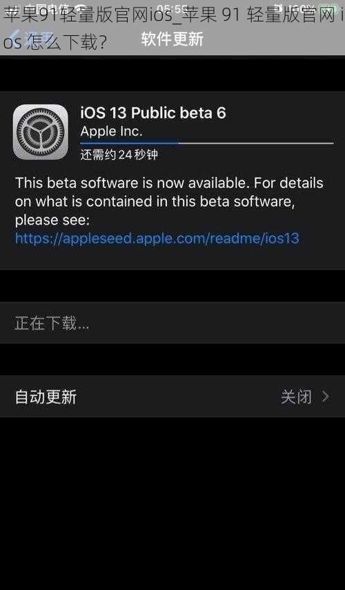 苹果91轻量版官网ios_苹果 91 轻量版官网 ios 怎么下载？