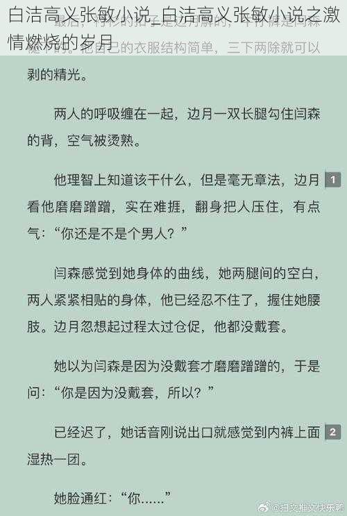 白洁高义张敏小说_白洁高义张敏小说之激情燃烧的岁月